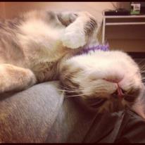 154491_10100650254791087_1766119851_n