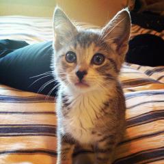 424206_10100319926152327_432581299_n