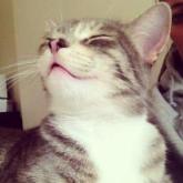 7149_10100776610588057_2086855119_n